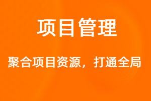 OA標(biāo)準(zhǔn)化協(xié)同辦公——項(xiàng)目管理-網(wǎng)站制作