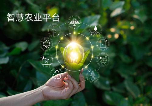 智慧農(nóng)業(yè)生態(tài)系統(tǒng)