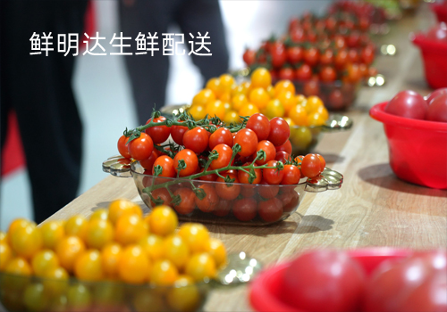 生鮮配送--鮮明達(dá)