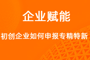 初創(chuàng)型企業(yè)如何申報(bào)專精特新中小企業(yè)？-網(wǎng)站制作