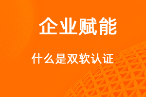 什么是雙軟認(rèn)證？享受那些優(yōu)惠政策-網(wǎng)站制作
