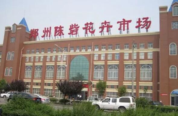 宇淼科技成功簽約鄭州陳砦花卉集團有限公司-網(wǎng)站制作