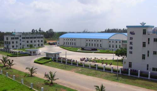 宇淼科技成功簽約海南蔚藍(lán)海洋食品有限公司-網(wǎng)站制作