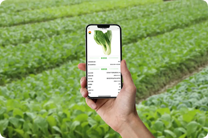 農產品溯源知識你了解多少？他的意義究竟是什么？這篇文章告訴你全部答案-網站制作